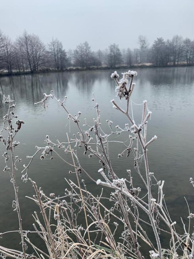 Le Goeland Lägenhet Villers-sur-Mer Exteriör bild