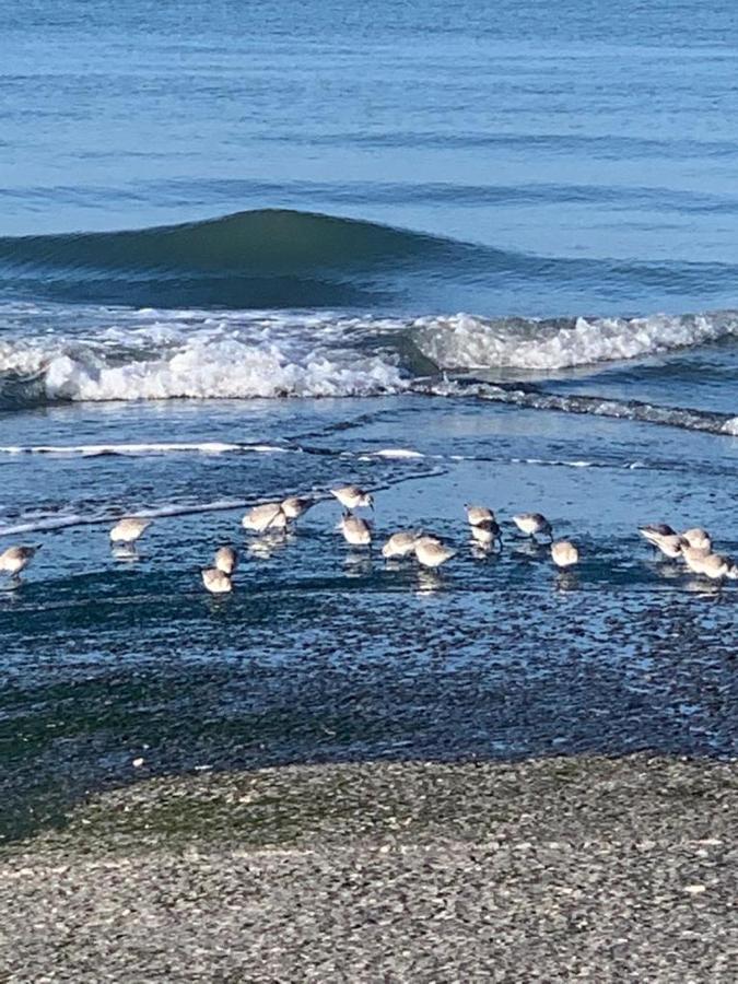 Le Goeland Lägenhet Villers-sur-Mer Exteriör bild